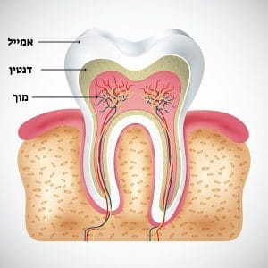 רגישות בשיניים